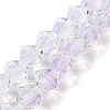 Handmade Lampwork Beads Strands LAMP-Q036-03C-1
