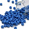 TOHO 3/0 Round Beads X-SEED-TR03-0043D-1