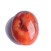 Natural Red Agate Oval Palm Stone Reiki Polished Healing Pocket Worry Stone PW-WG0D36A-01-5