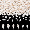 450Pcs 3 Styles Natural Spiral Shell Beads BSHE-GA0001-03-6