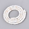Natural Freshwater Shell Beads Strands SHEL-Q028-01-3