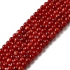Natural Freshwater Shell Beads Strands SHEL-H003-03G-1