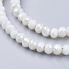 Electroplate Glass Faceted Rondelle Beads Strands EGLA-D020-4x3mm-05-3