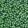 Glass Seed Beads SEED-L011-04A-01-3
