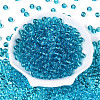 FGB Transparent Glass Seed Beads SEED-N013-01B-07-2