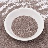 MIYUKI Delica Beads SEED-J020-DB2271-2