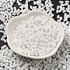 Baking Paint Glass Seed Beads SEED-K009-01A-25-2