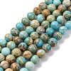 Dyed Natural Regalite/Imperial Jasper/Sea Sediment Jasper Beads Strands X-G-B124-C02-03-1