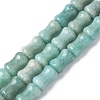 Natural Amazoniten Beads Strands G-M445-B01-01-2