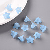 Transparent Acrylic Beads X-PLF018-06-7