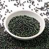 MIYUKI Round Rocailles Beads X-SEED-G008-RR2446-2