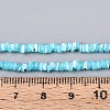 10 Strands 10 Colors Natural Trochid Shell/Trochus Shell Beads Strands SSHEL-N040-21-6