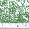 MIYUKI Delica Beads Small X-SEED-J020-DBS0163-4