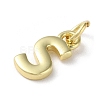 Rack Plating Brass Charms KK-P245-06G-S-2