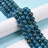 Natural Apatite Beads Strands G-R446-8mm-11-2