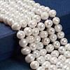 Natural Cultured Freshwater Pearl Beads Strands X-PEAR-S012-53-3