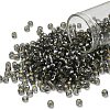 TOHO 6/0 Round Beads X-SEED-TR06-0029-1