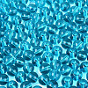 FGB Transparent Glass Seed Beads SEED-N013-01C-10-4