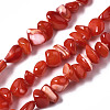 Natural Trochid Shell/Trochus Shell Bead Strands SSHEL-N034-78-C04-1