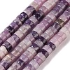 Natural Lepidolite/Purple Mica Stone Beads Strands G-M420-A19-01-2