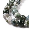 Natural Tree Agate Beads Strands G-K194-10mm-02-6
