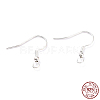 304 Stainless Steel Earring Hooks STAS-T031-17S-1