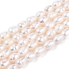 Natural Cultured Freshwater Pearl Beads Strands PEAR-N012-04S-2