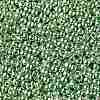 TOHO Round Seed Beads SEED-XTR08-PF0570-2