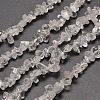 Natural Quartz Crystal Chip Beads Strands G-M205-01-1