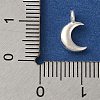 925 Sterling Silver Charms FIND-U013-06S-01-3