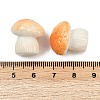 Mushroom Themes Resin Display Decorations DJEW-S002-01B-3
