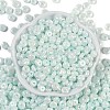 Opaque Colours Luster Glass Seed Beads X1-SEED-P008-01C-04-3