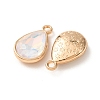 Alloy Glass Pendants GL-CBA7A25-02B-2