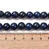 Round Dyed & Natural Lapis Lazuli Gemstone Bead Strands G-J333-05-8mm-6