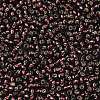 TOHO 8/0 Round Beads SEED-TR08-0026C-2