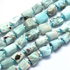Natural Larimar Beads Strands G-O170-55A-1