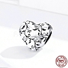 925 Sterling Silver Euorpean Beads STER-FF0012-02AS-5
