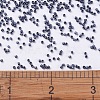 MIYUKI Delica Beads SEED-J020-DB0301-4