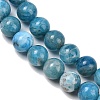 Natural Apatite Bead Strands G-P204-09-7mm-1-5