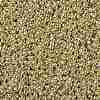 TOHO Round Seed Beads SEED-XTR11-PF0559-2
