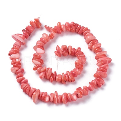 Natural Freshwater Shell Beads Strands BSHE-I016-01-1