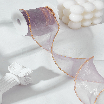 5 Yards Polyester Organza Ribbons SRIB-LP0001-05B-1