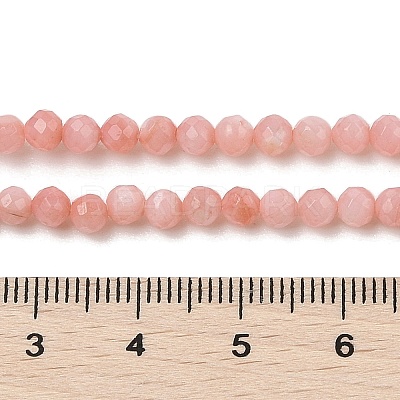 Natural Freshwater Shell Dyed Beads Strands SHEL-R100-12A-03-1