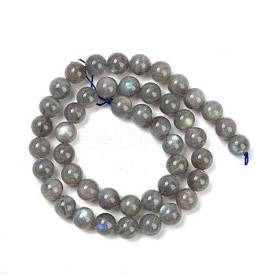 Natural Labradorite Beads Strands G-G448-8mm-04A-1
