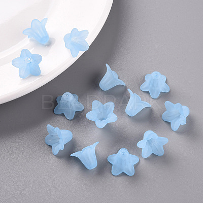 Transparent Acrylic Beads X-PLF018-06-1