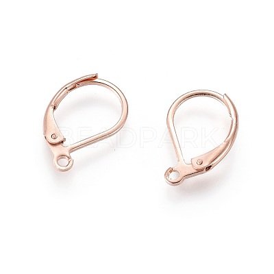 304 Stainless Steel Leverback Earring Findings X-STAS-P166-12RG-1