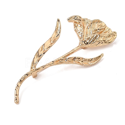 Alloy Brooch Pins AL-CBAF606-03G-1