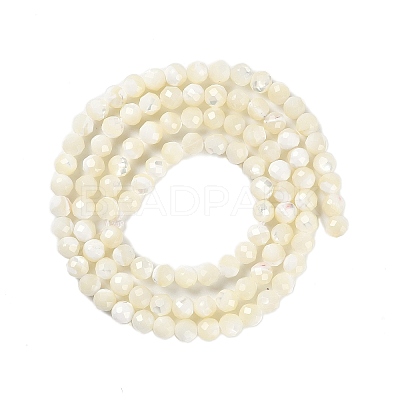 Natural Shell Beads Strands SSHEL-E571-38B-4mm-1