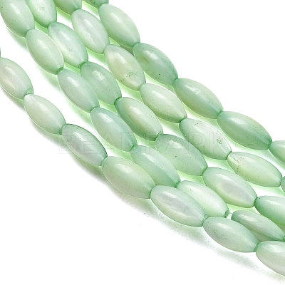 Natural Freshwater Shell Beads Strands SHEL-C010-01A-1