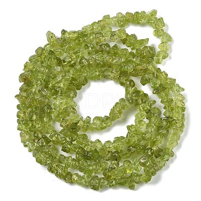 Natural Peridot Beads Strands G-P332-48-01-1